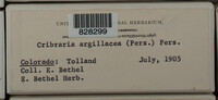 Image Associated With the Occurence
